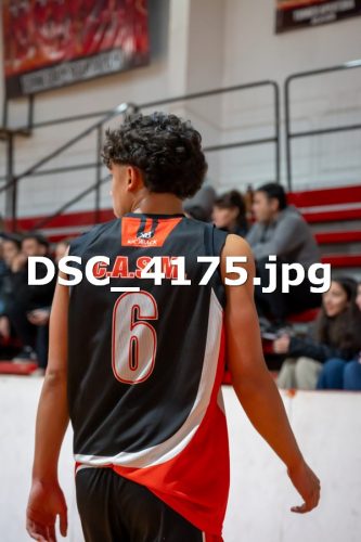 DSC 4175