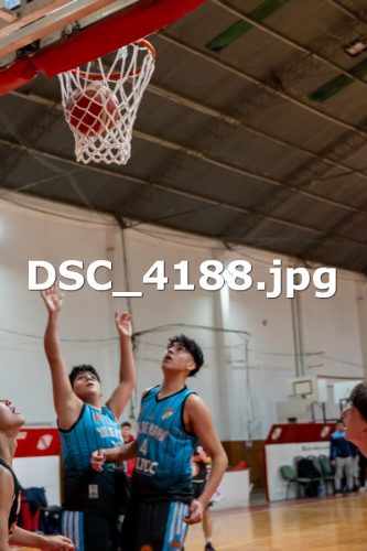 DSC 4188