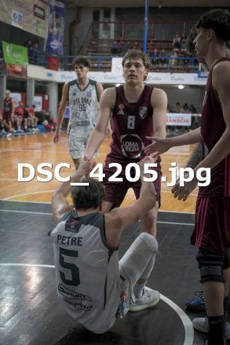 DSC 4205
