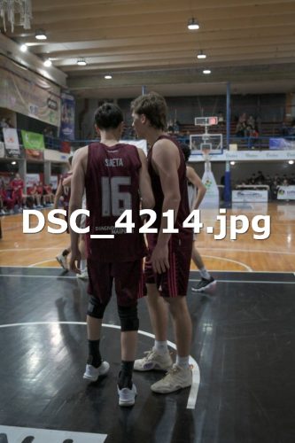 DSC 4214