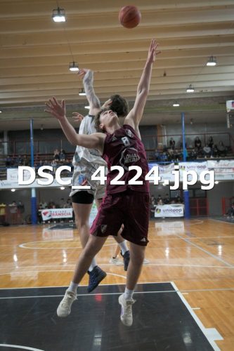 DSC 4224