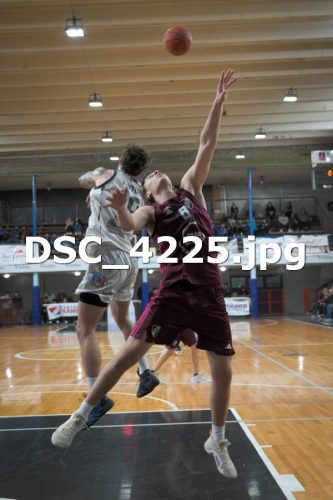 DSC 4225