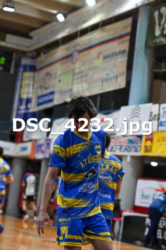DSC 4232