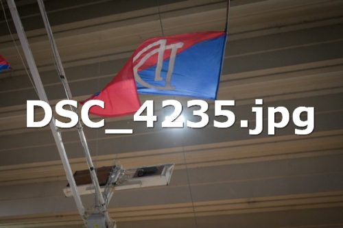 DSC 4235