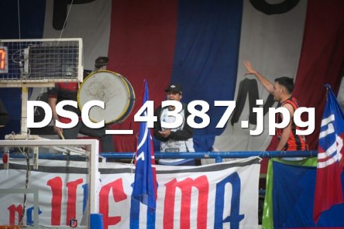 DSC 4387