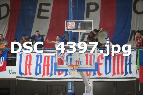DSC 4397