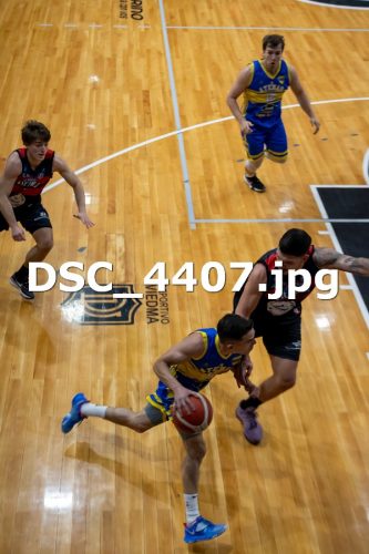 DSC 4407