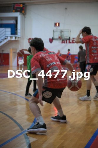 DSC 4477