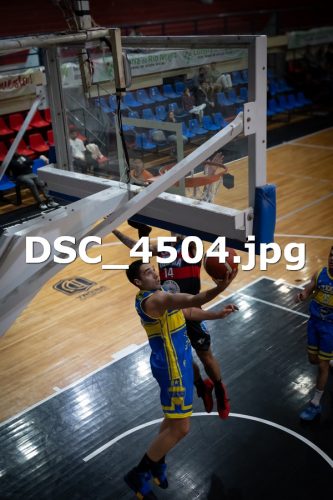 DSC 4504