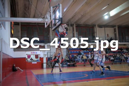 DSC 4505
