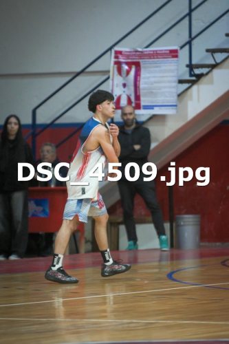 DSC 4509