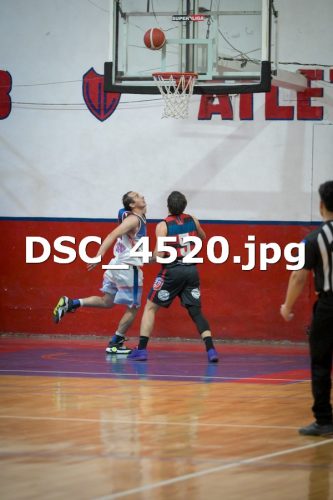 DSC 4520