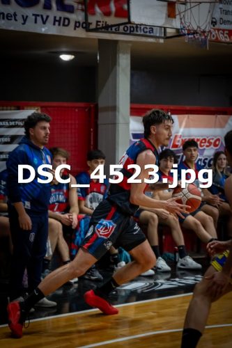 DSC 4523