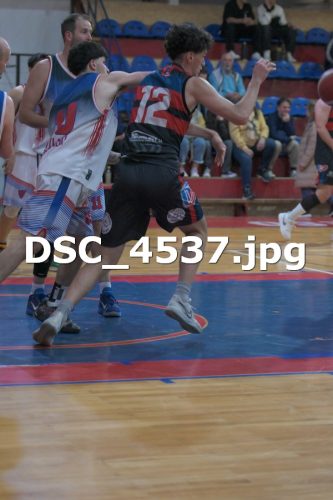 DSC 4537