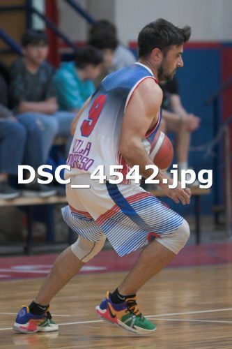 DSC 4542