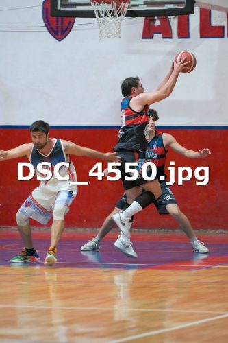 DSC 4550