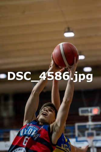 DSC 4586