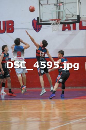 DSC 4595 (1)