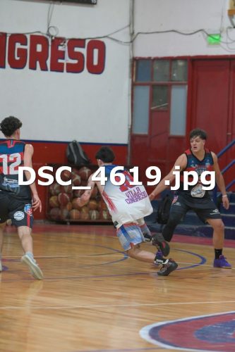 DSC 4619