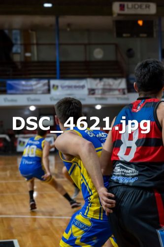 DSC 4621