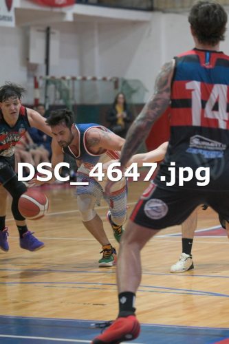 DSC 4647 (1)