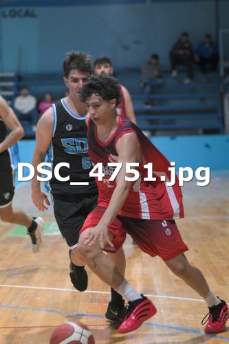 DSC 4751