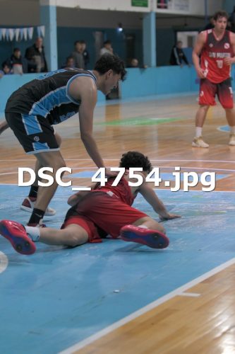 DSC 4754