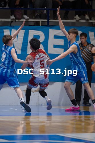 DSC 5113