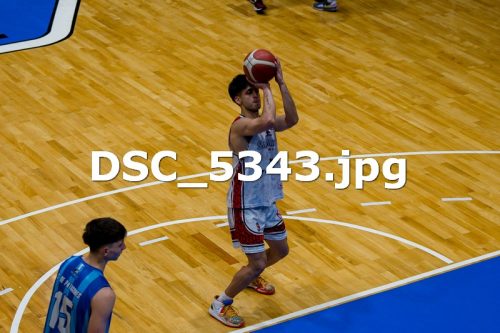 DSC 5343