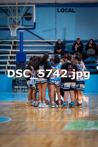 DSC 5742