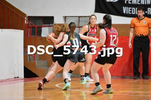 DSC 5743