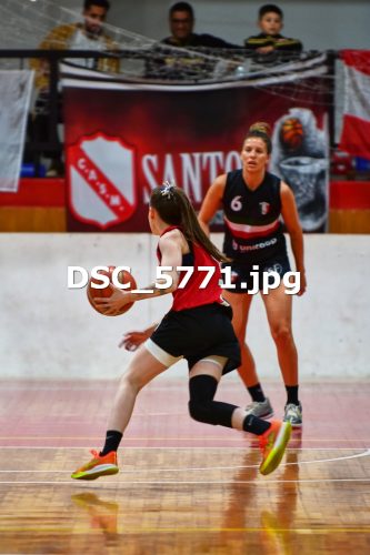 DSC 5771