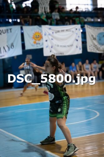 DSC 5800