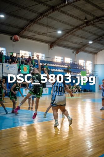 DSC 5803