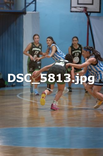 DSC 5813