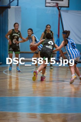 DSC 5815