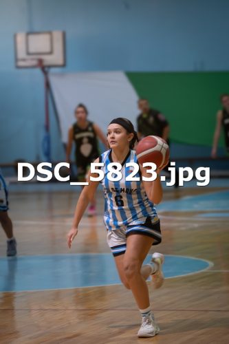 DSC 5823