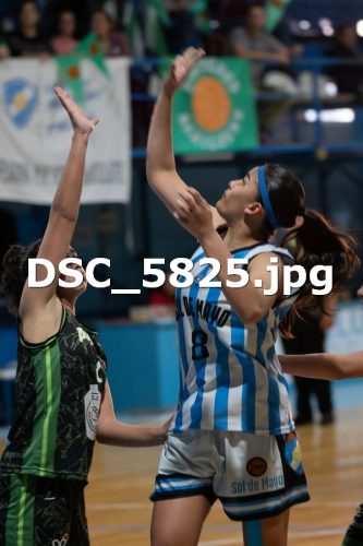 DSC 5825