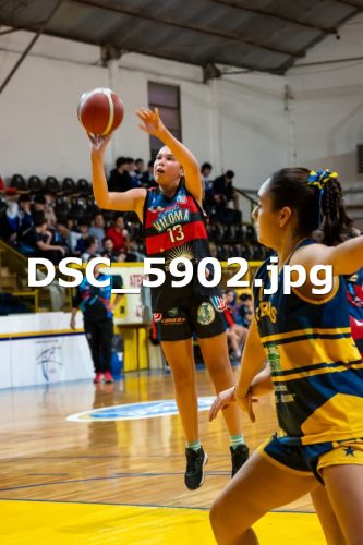 DSC 5902