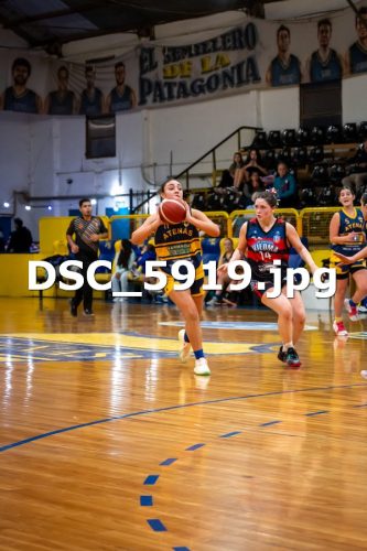 DSC 5919