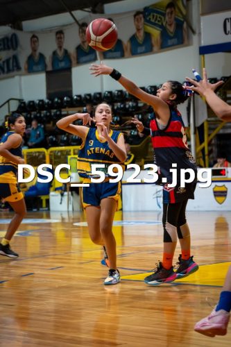 DSC 5923