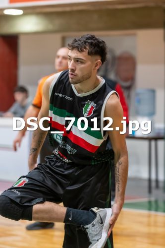 DSC 7012
