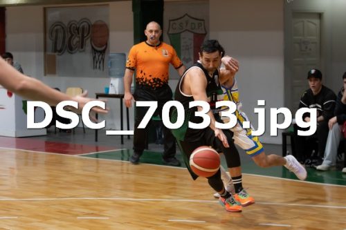 DSC 7033