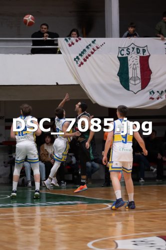 DSC 7085