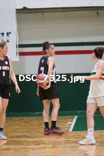 DSC 7325