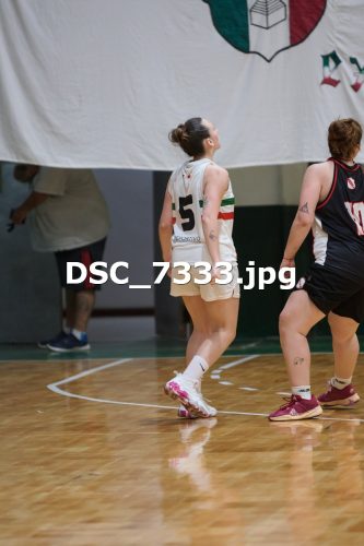 DSC 7333