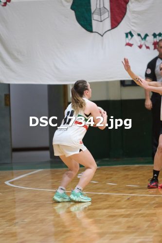 DSC 7342