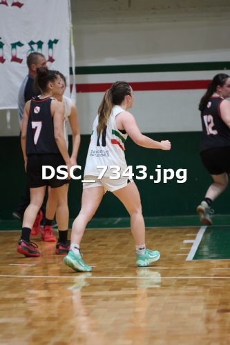 DSC 7343