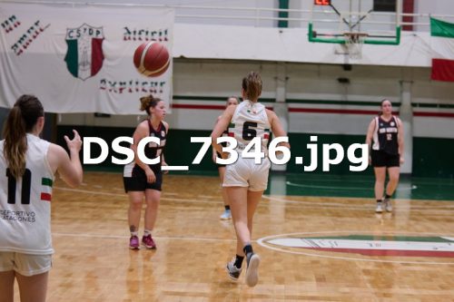 DSC 7346