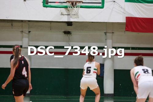 DSC 7348